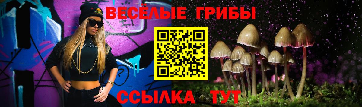 Сыктывкар  Псилоцибиновые грибы ЛСД  Псилоцибиновые грибы Psilocybe  Вход с VPN 
